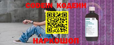 индика Камышлов