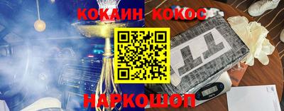 индика Камышлов