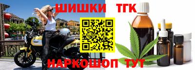 индика Камышлов