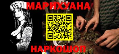 индика Камышлов