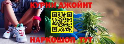 индика Камышлов
