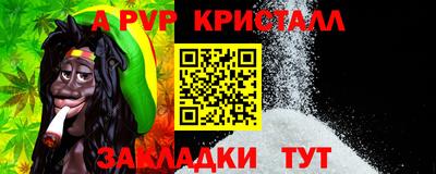 индика Камышлов