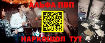 индика Камышлов