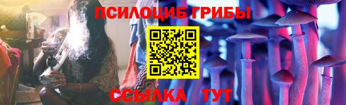 сколько стоит  Псилоцибиновые грибы Cubensis  Вход с VPN  Лабытнанги  Галлюциногенные грибы MAGIC MUSHROOMS 